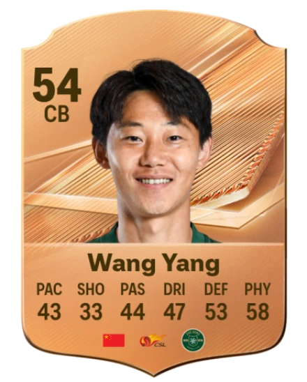 Wang Yang 54 Bronze CB FC 27 card