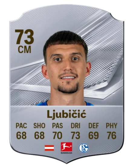 Ljubičić 73 Common CM FC 26 card