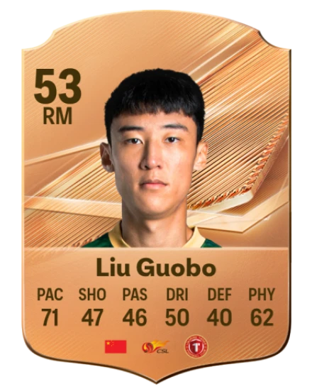 Liu Guobo 53 Bronze RM FC 27 card