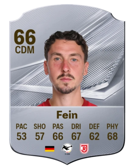 Fein 66 Common CDM FC 26 card