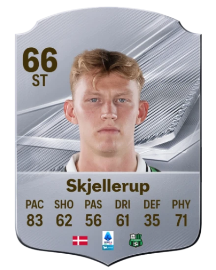 Skjellerup 66 Silver ST FC 27 card