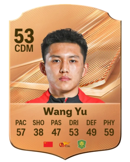 Wang Yu 53 Bronze CDM FC 27 card