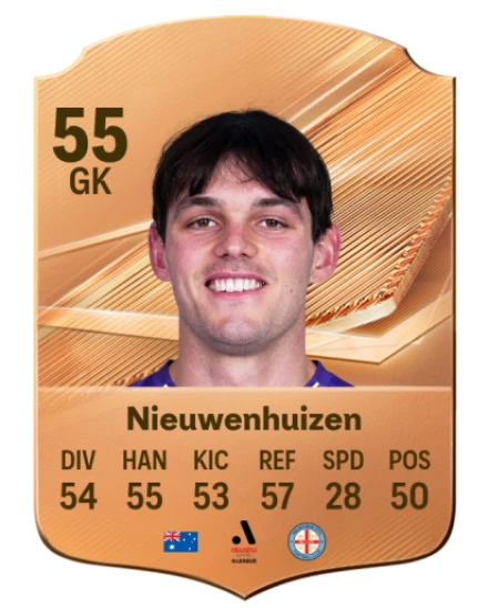 Nieuwenhuizen 55 Bronze GK FC 27 card