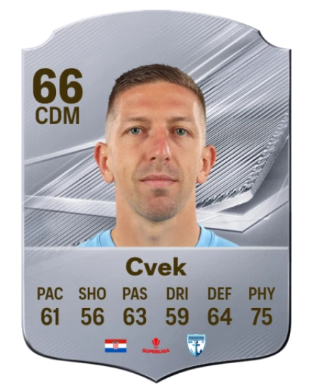 Cvek 66 Common CDM FC 26 card