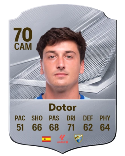 Dotor 70 Common CAM FC 26 card