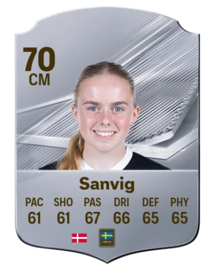 Sanvig 70 Common CM FC 26 card