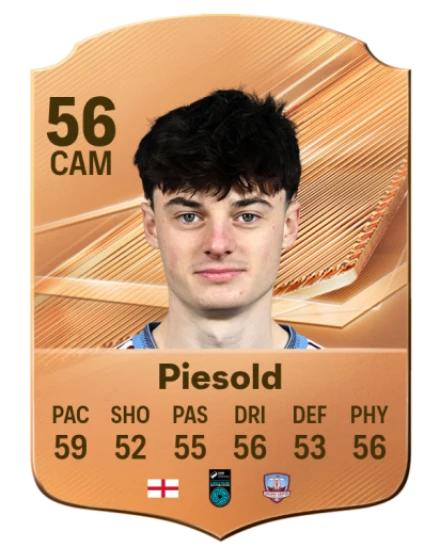 Piesold 56 Bronze CAM FC 27 card