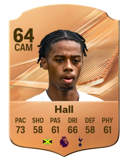 Hall 64 Bronze CAM FC 27 card