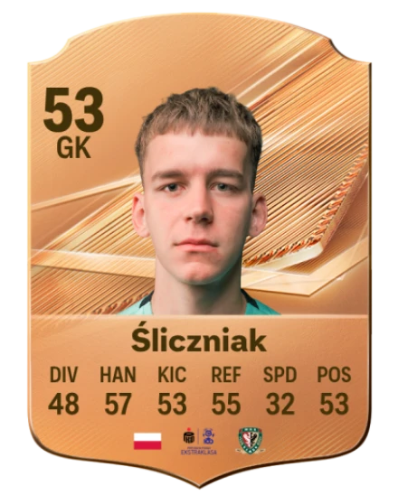 Śliczniak 53 Bronze GK FC 27 card