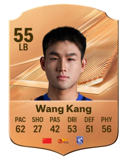 Wang Kang 55 Bronze LB FC 27 card
