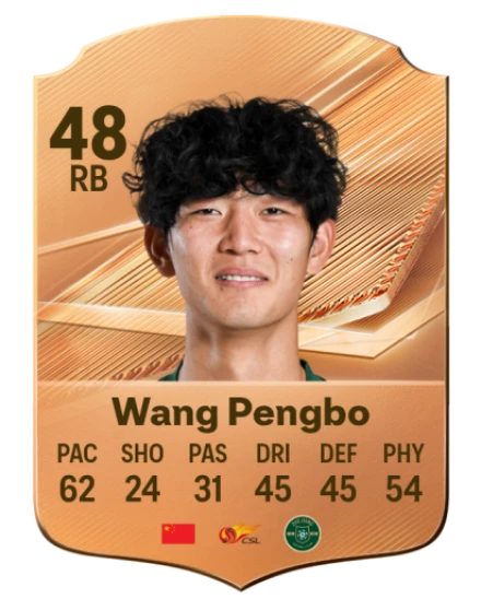 Wang Pengbo 48 Bronze RB FC 27 card