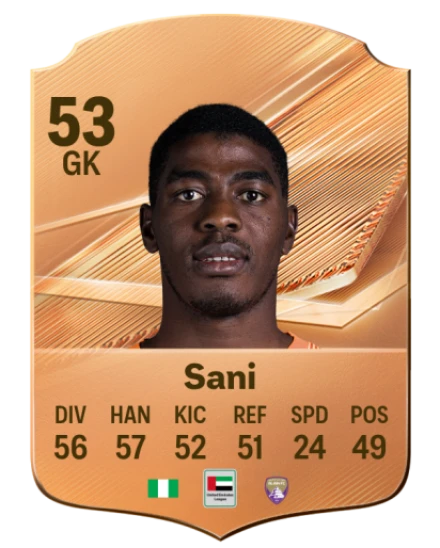 Sani 53 Bronze GK FC 27 card