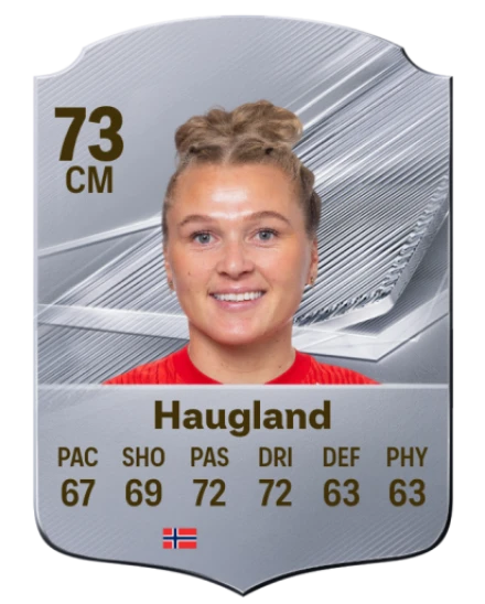 Haugland 73 Common CM FC 26 card