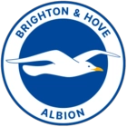 Brighton & Hove Albion Badge