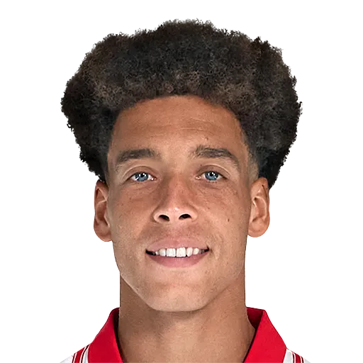 Witsel 76 Gold CDM FC 27 card