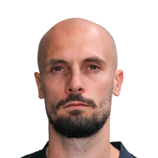 Gorenc Stanković 73 Silver CDM FC 27 card