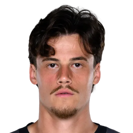 Svilar 85 Gold GK FC 27 card