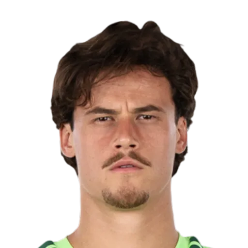 Svilar 85 Gold GK FC 27 card