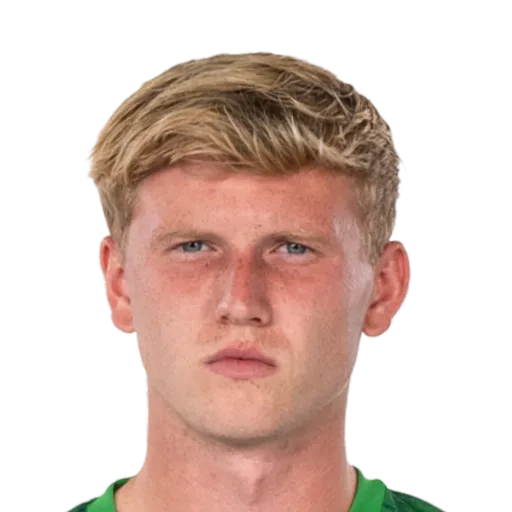 Doig 73 Silver LB FC 27 card