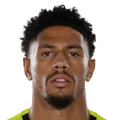 Okoye 76 Common GK FC 26 card