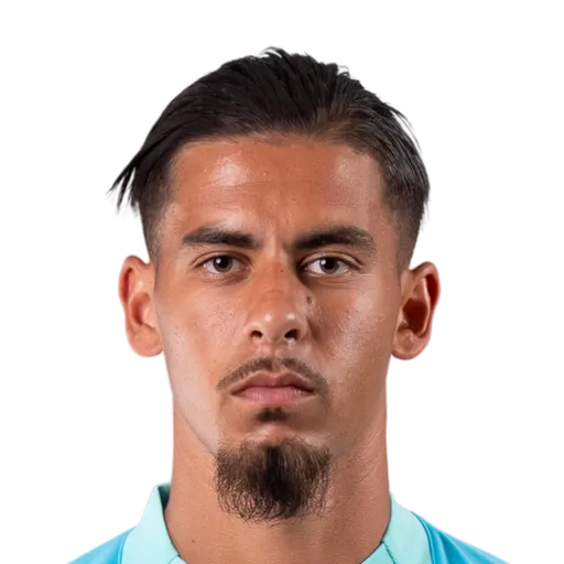 Zinga 66 Silver GK FC 27 card