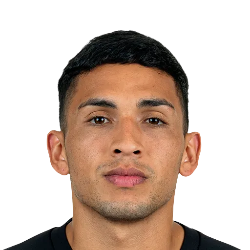 Fernández 75 Common CDM FC 26 card