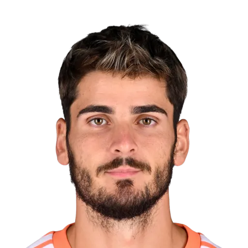 Hammel 70 Silver GK FC 27 card