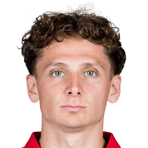 Lemmens 65 Silver CB FC 27 card