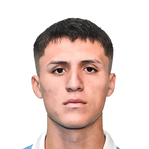 Cabellos 66 Silver CM FC 27 card