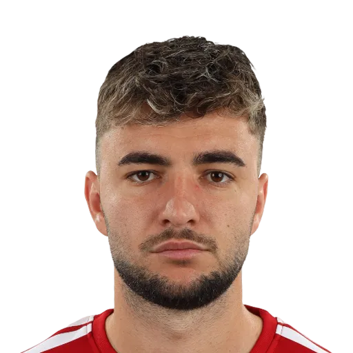 Mitrov 66 Silver LM FC 27 card