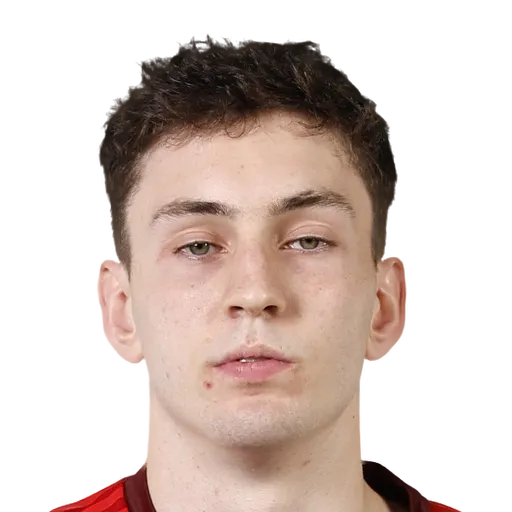 Stefanović 59 Bronze CB FC 27 card