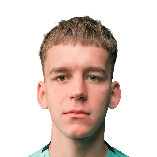 Śliczniak 53 Bronze GK FC 27 card