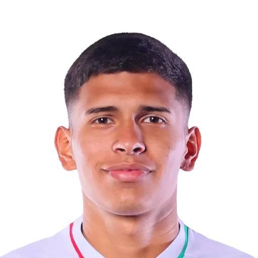 Roldán 67 Silver CM FC 27 card