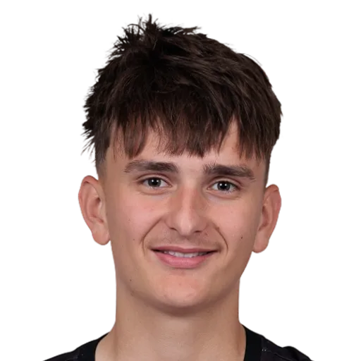 Ajanovic 52 Common GK FC 26 card
