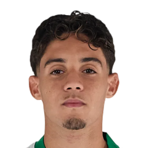 Ali Houary 65 Common CAM FC 26 card