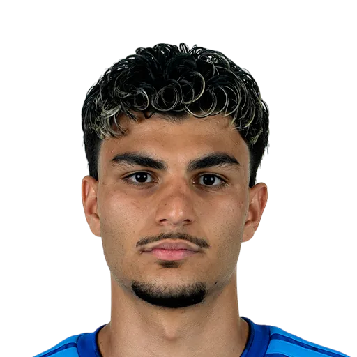 Ayhan 69 Silver CB FC 27 card