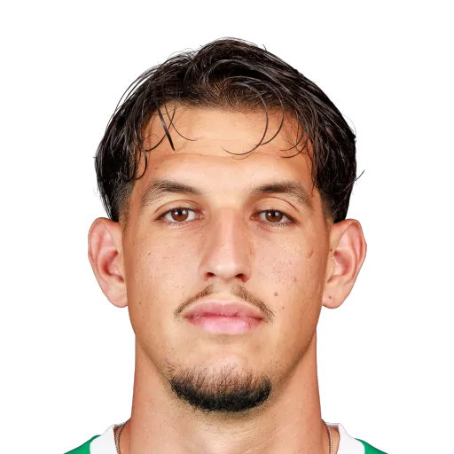 Boras 66 Silver CB FC 27 card