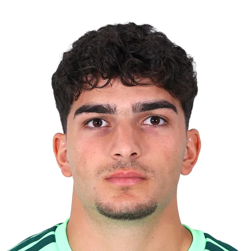 Michail 60 Bronze GK FC 27 card